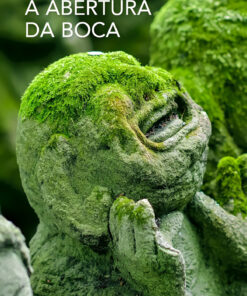 A abertura da boca