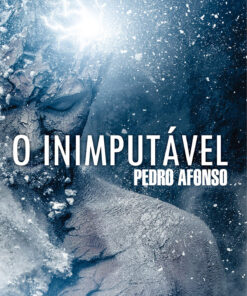 O inimputavel