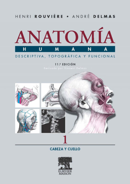 Anatomia humana descriptiva topografica funcional:cabeza y cuello