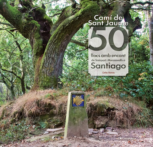 Camí de Sant Jaume: 50 llocs amb encant de Somport i Roncesvalls a Santiago