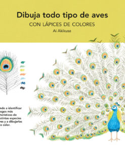Dibuja todo tipo de aves con lápices de colores